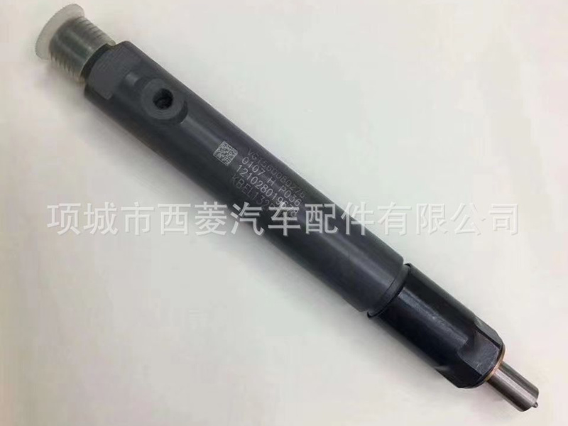 重汽 潍柴 重油柱塞X170-010S