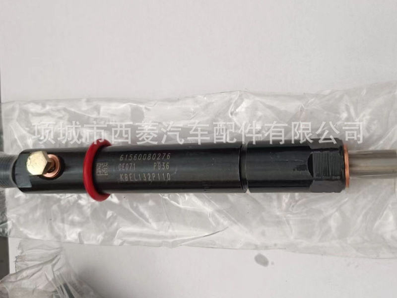 重汽 潍柴 重油柱塞X170-010S