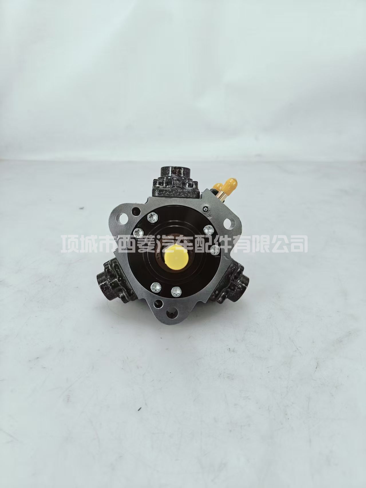 0445010142 96440341 CP1燃油泵总成适用于Captiva 2.0 CDRi lace