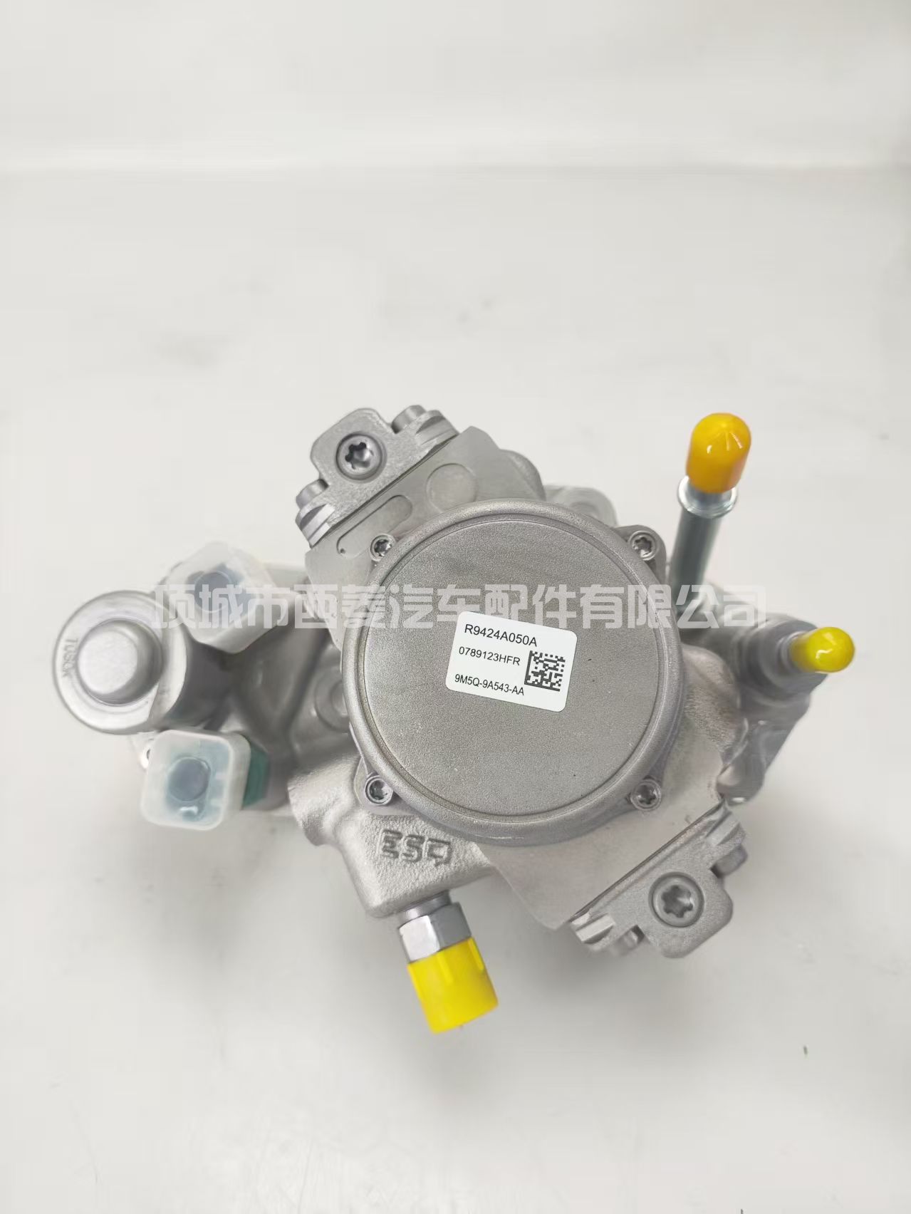 福特福克斯 2.0 TDCI 适用于德尔福柴油燃油泵 - R9424A050A