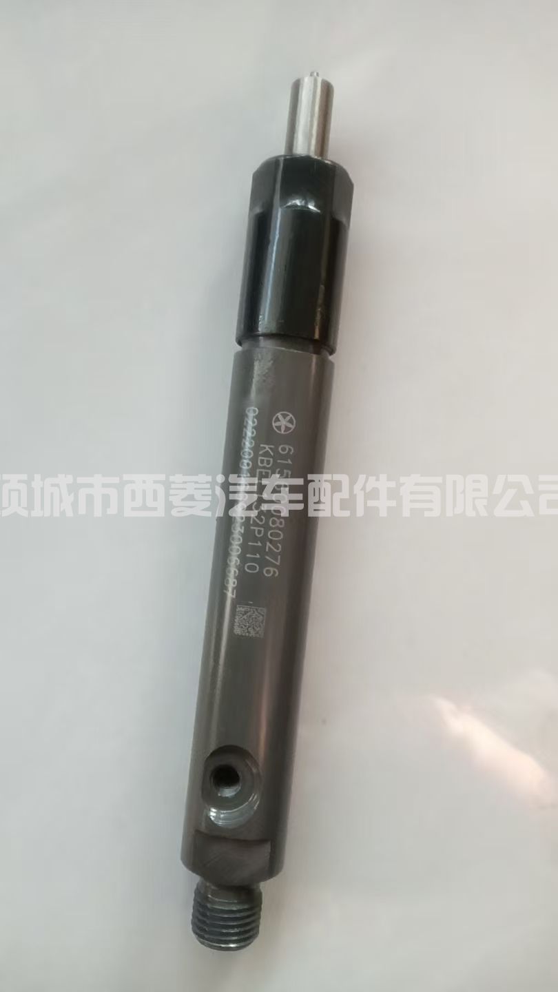 61560080276 适用重汽豪沃卡车发动机配件燃油共轨喷油器潍柴
