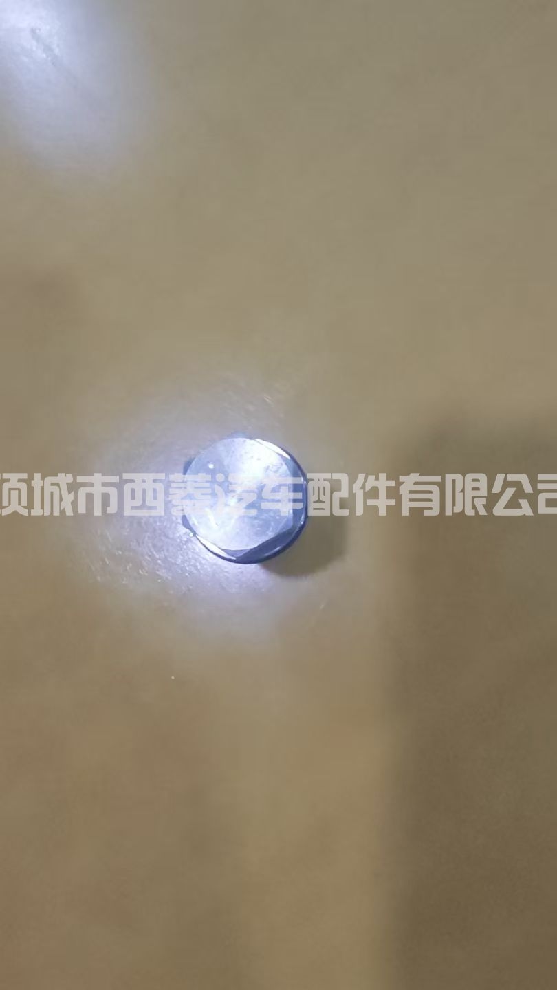 1110010017 1110010028 1110010015共轨泄压阀