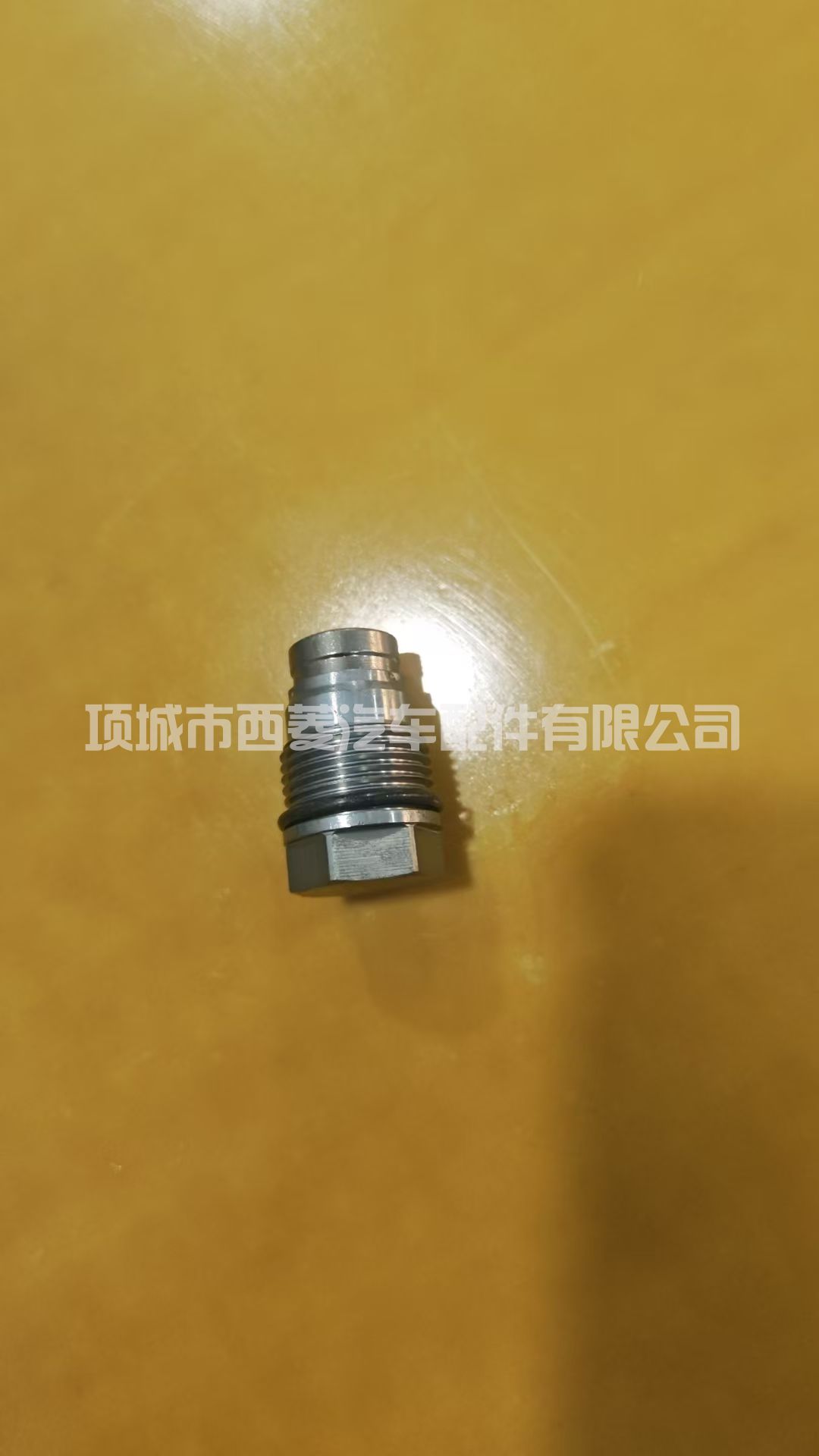 1110010017 1110010028 1110010015共轨泄压阀