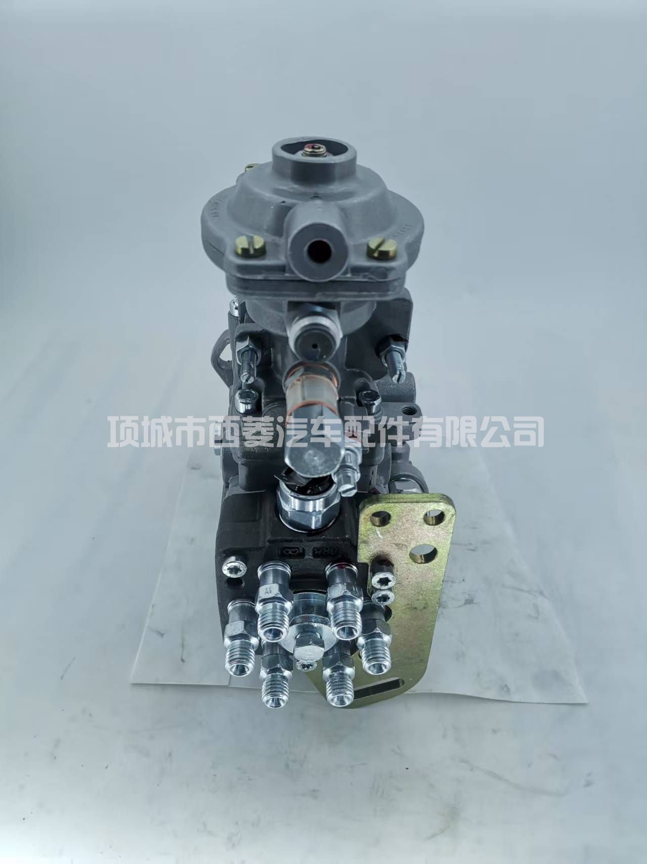 0460426455 VE6/12F1100L2006 504129609燃料燃油泵适用于WMM