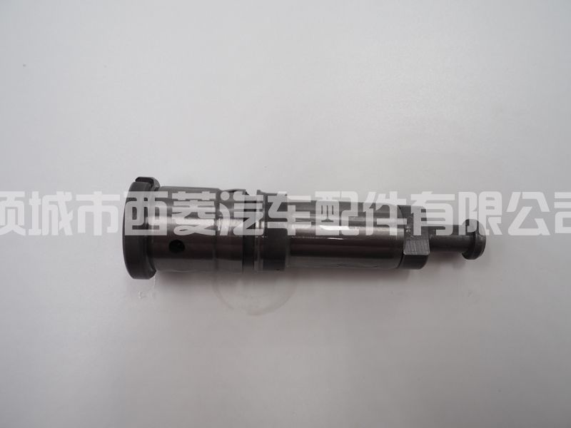 2418455074 2455-074 柴油车喷油泵柱塞偶件 2 418 455 074