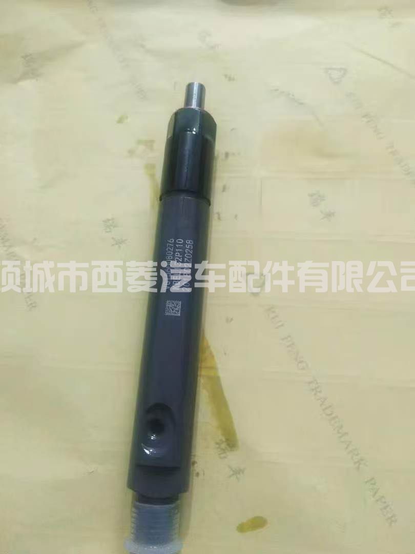 61560080276共轨柴油喷油器 适