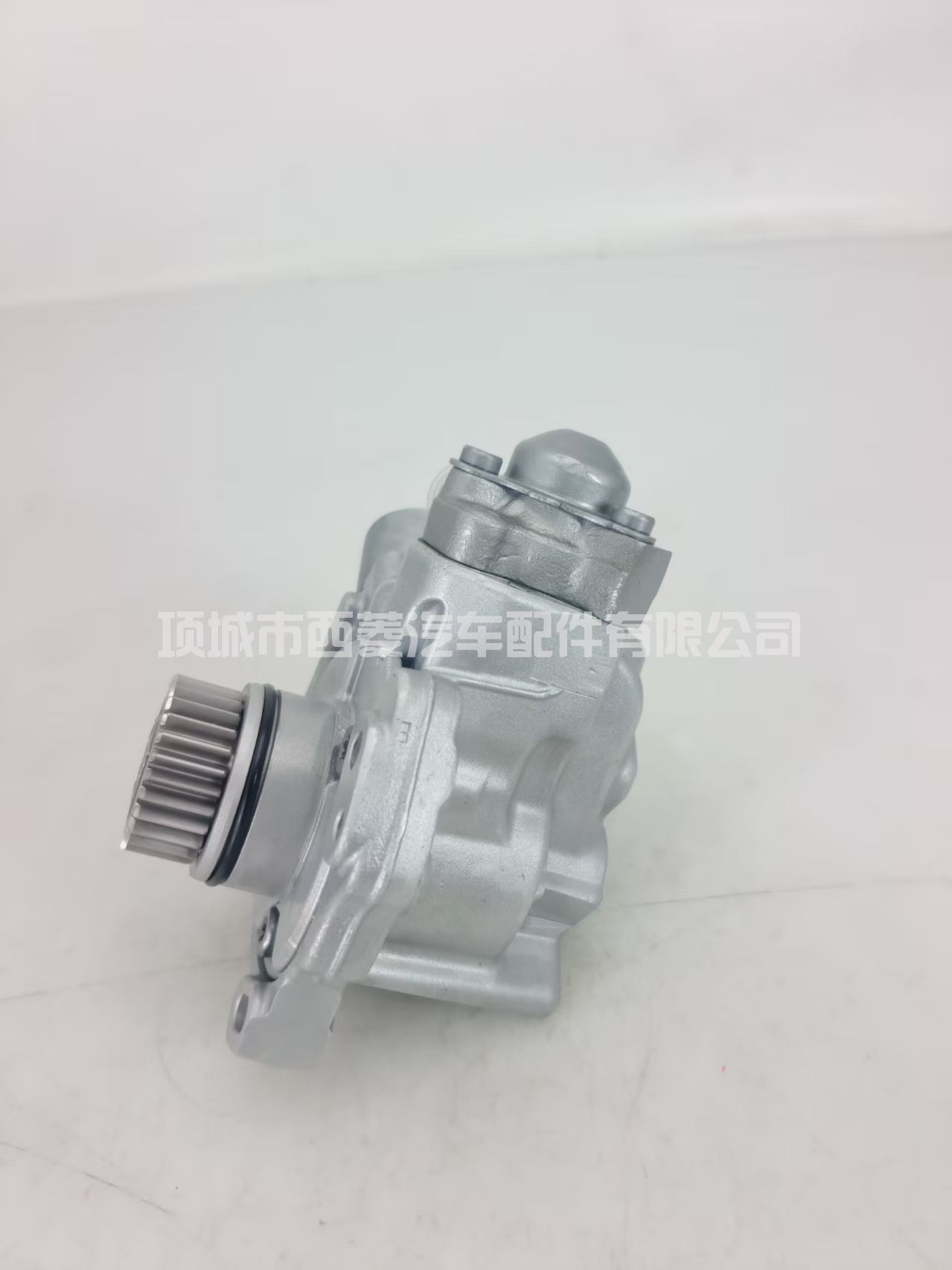 燃油泵 28384347 适用于标致雪铁龙 福特 2.0 BlueHDi 9674984480 DW10F